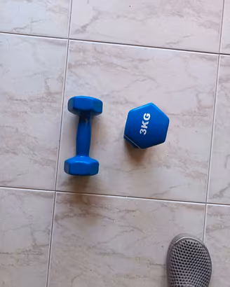 Pesi manubri da 3kg