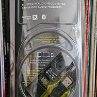 Cambridge Audio BT100