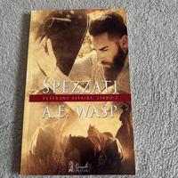 Spezzati e Sotto attacco a. E . Wasp