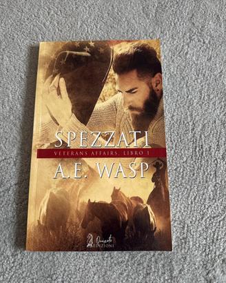 Spezzati e Sotto attacco a. E . Wasp