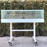 VETRINA IN VETRO PER ESPOSIZIONE A CARRELLO