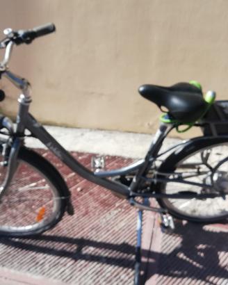 Bicicletta Elettrica