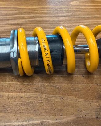 Holins Ammortizzatore TTX 2 Coil Trunnion