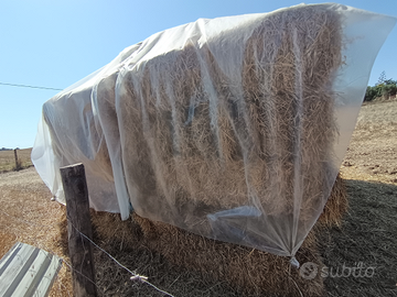 Ballette fieno trifoglio