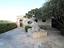 Immagine 27