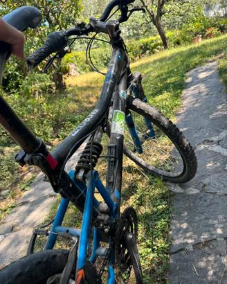 Bici Mountain Bike 24 (per bambino/ragazzo)