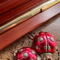 stilografica in argento massiccio placcata in oro