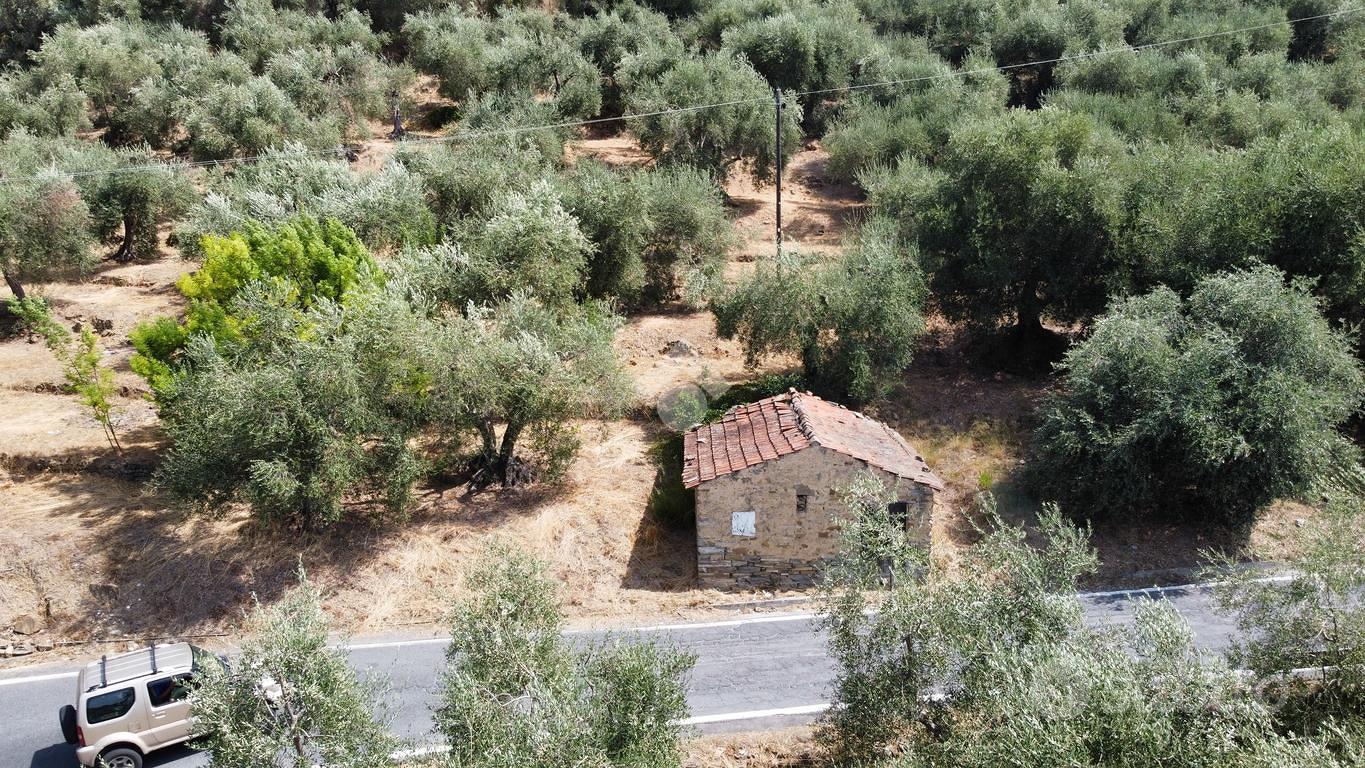 RUSTICO A PERINALDO - Vista 5
