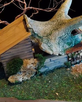Diorama artigianale Casa nel Teschio Triceratopo
