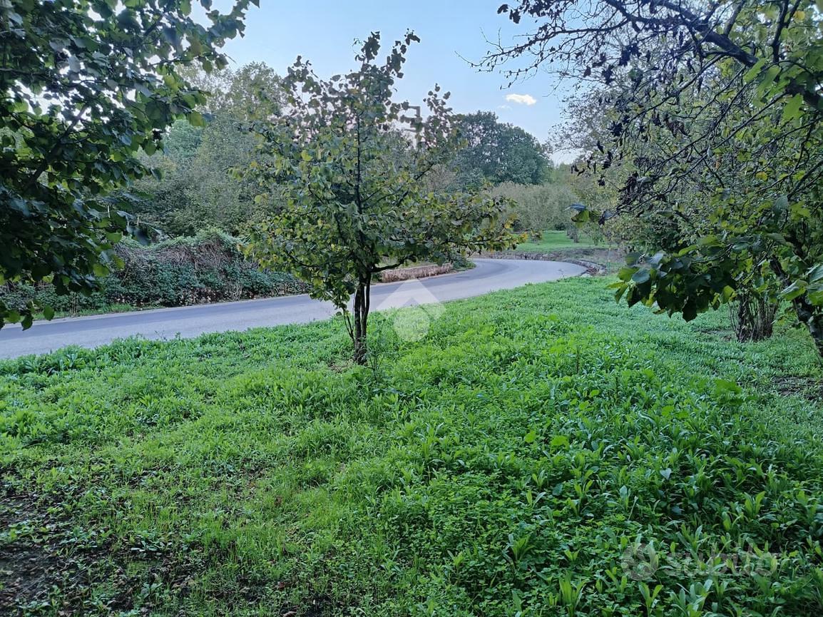 TER. AGRICOLO A GROTTOLELLA - Vista 5