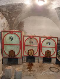 Botti in cemento