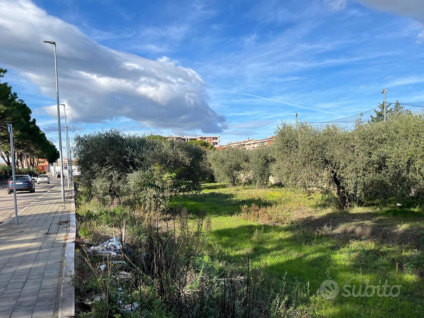 Terreno Residenziale San Severo - Vista 5