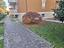 Immagine 19