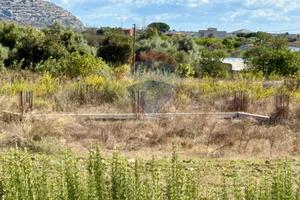 Locale Commerciale - Solarino