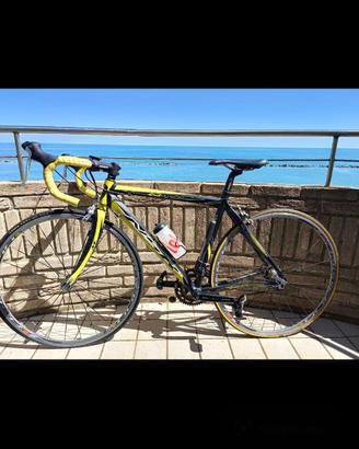 Bici da corsa