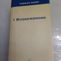 I Buddenbrook Mann decadenza di una famiglia 