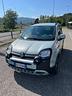 fiat-panda-1-0-firefly-s-s-hybrid-city-cross