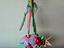 Immagine 4