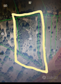 Terreno agricolo collinare