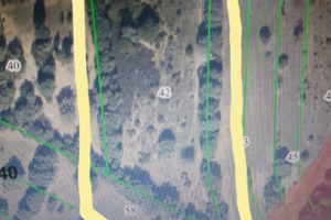 Terreno agricolo collinare