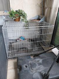 kennel xxl