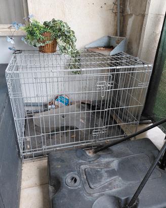 kennel xxl
