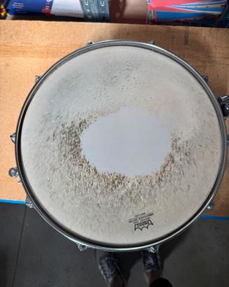 Rullante Yamaha Maple Custom MSD-0104