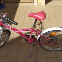 bicicletta