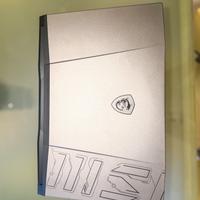 MSI Pulse 17 B13VFK-034IT Notebook Gaming 17.3" F