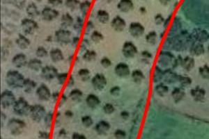 Uliveto Valderice (TP)