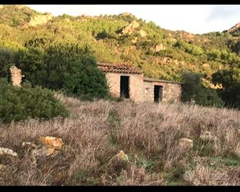 Terreno agricolo