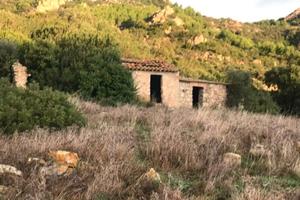 Terreno agricolo
