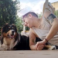 Pet sitter Olbia