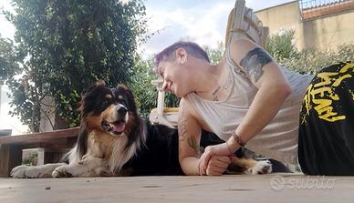 Pet sitter Olbia