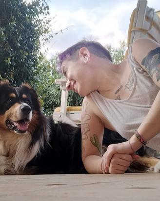 Pet sitter Olbia