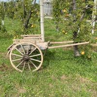 Carro antico in legno