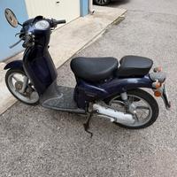 Aprile scarabeo versione campus