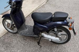 Aprile scarabeo versione campus