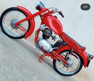 Moto morini