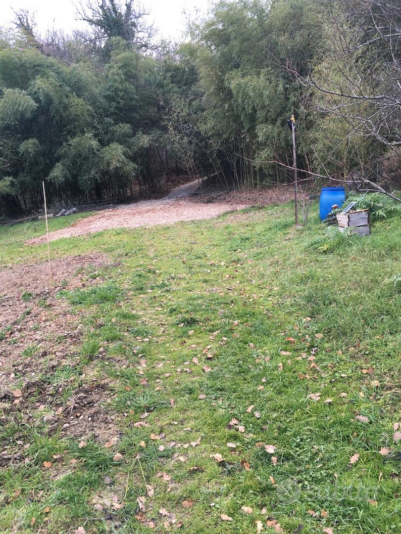 Terreno e rustico - Vista 4