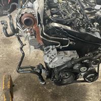 Motore DGT Volkswagen Golf 1.6 TDI
