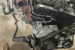 Motore DGT Volkswagen Golf 1.6 TDI