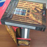 ATLANTE DEL CONSOLIDAMENTO DEGLI EDIFICI STORICI.