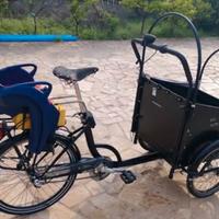 Bicicletta cargo bike