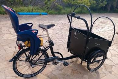 Bicicletta cargo bike
