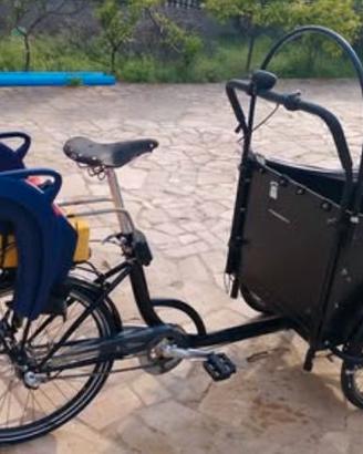 Bicicletta cargo bike