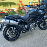 Suzuki v strom