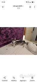 letto in ferro battuto 