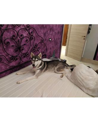 letto in ferro battuto 