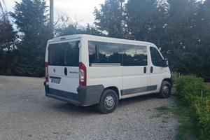 Fiat ducato panorama 9 posti